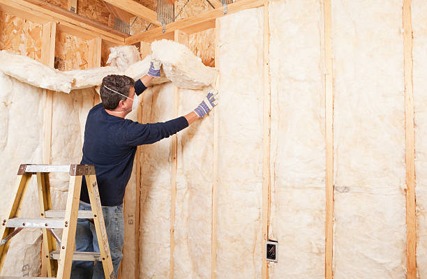 Types of Insulation We Offer in Lone Tree, IA